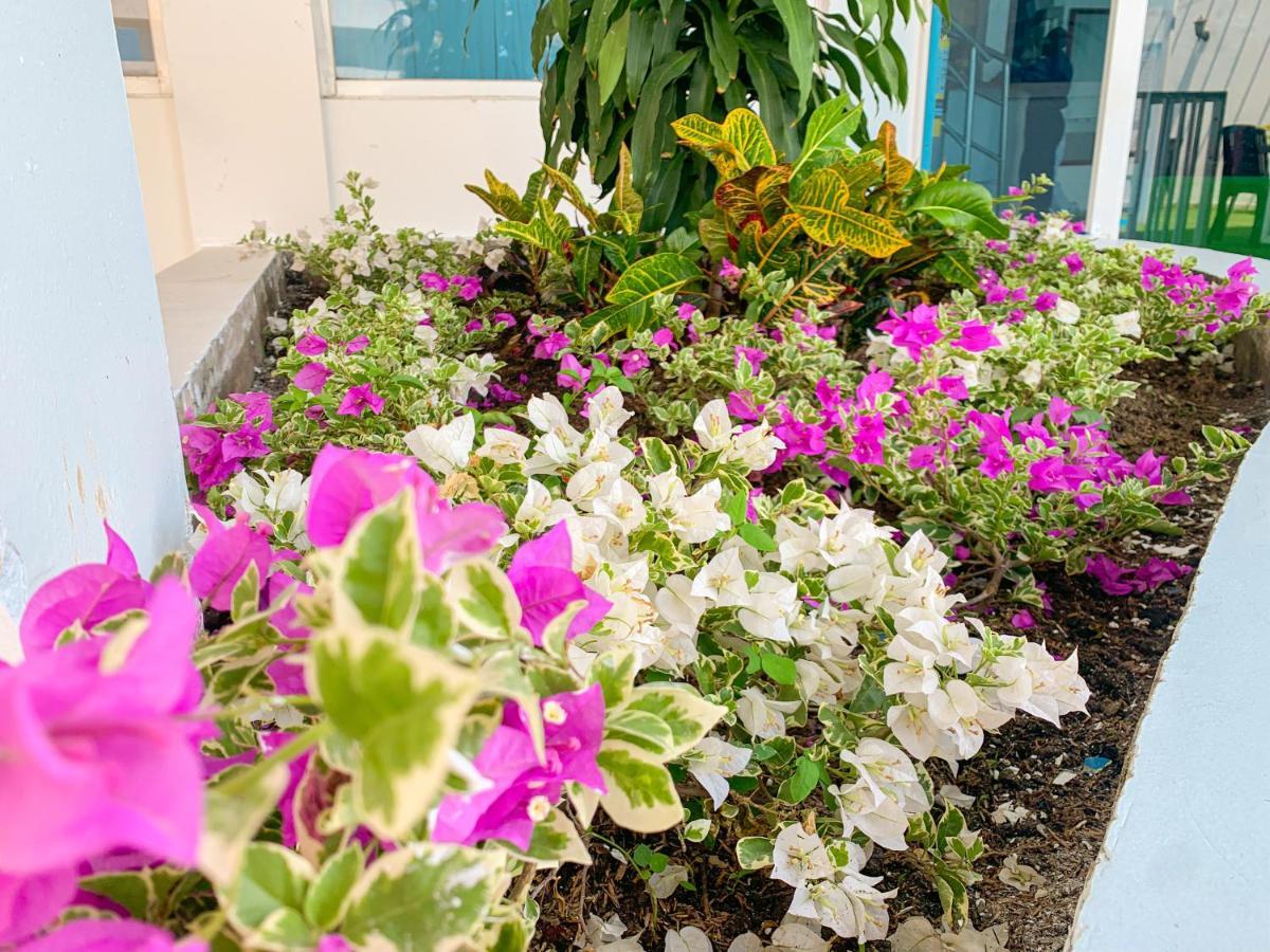 Hotel Abi Inn By Geh Suites Cartagena Exterior photo